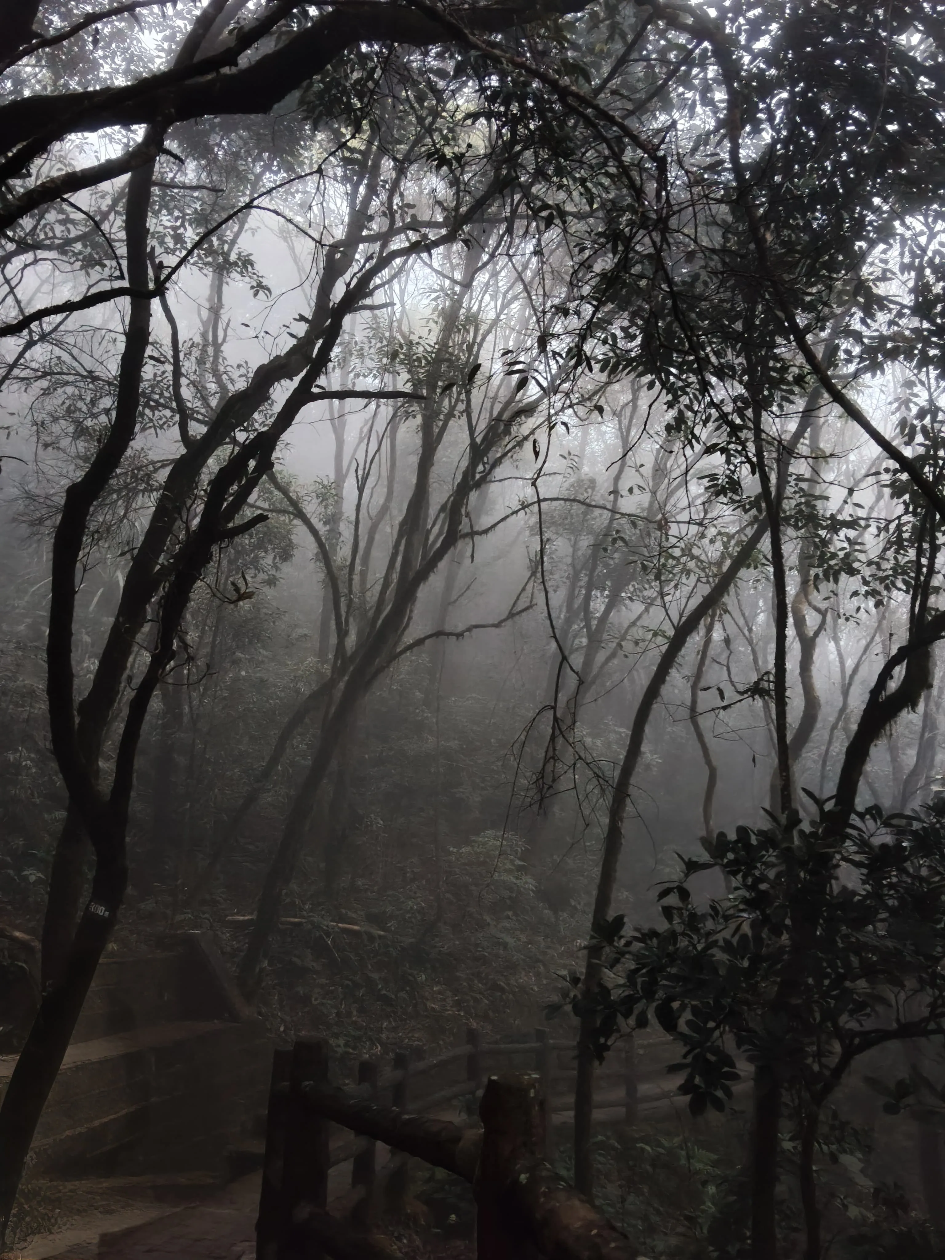Meghalaya